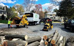 Best Firewood Processing and Delivery  in Bronte, TX